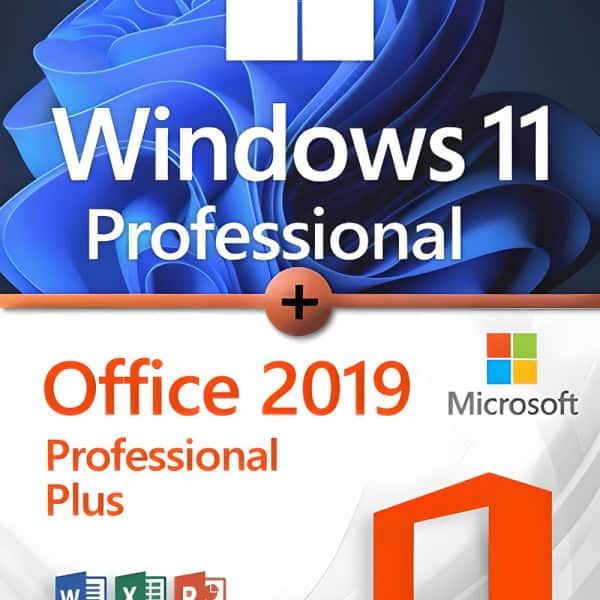 Microsoft Windows 11 Professional + Microsoft Office 2019 Professional Plus License for 3 devices