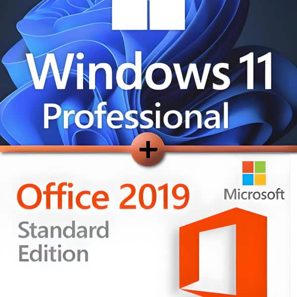 Microsoft Windows 11 Professional + Microsoft Office 2019 Standard Premium licenza per 3 dispositivi